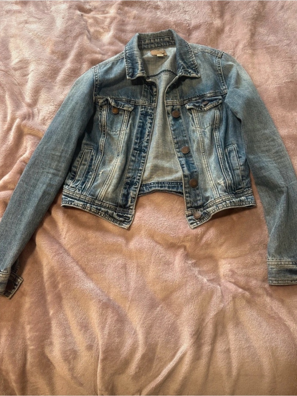 American Eagle Outfitters Light Blue Denim Jacket - Women